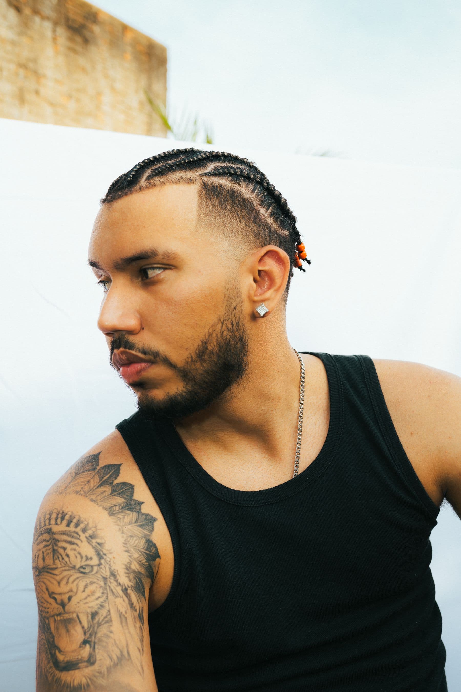 Clean close-up view of detailed cornrows